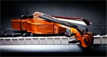 Müzik